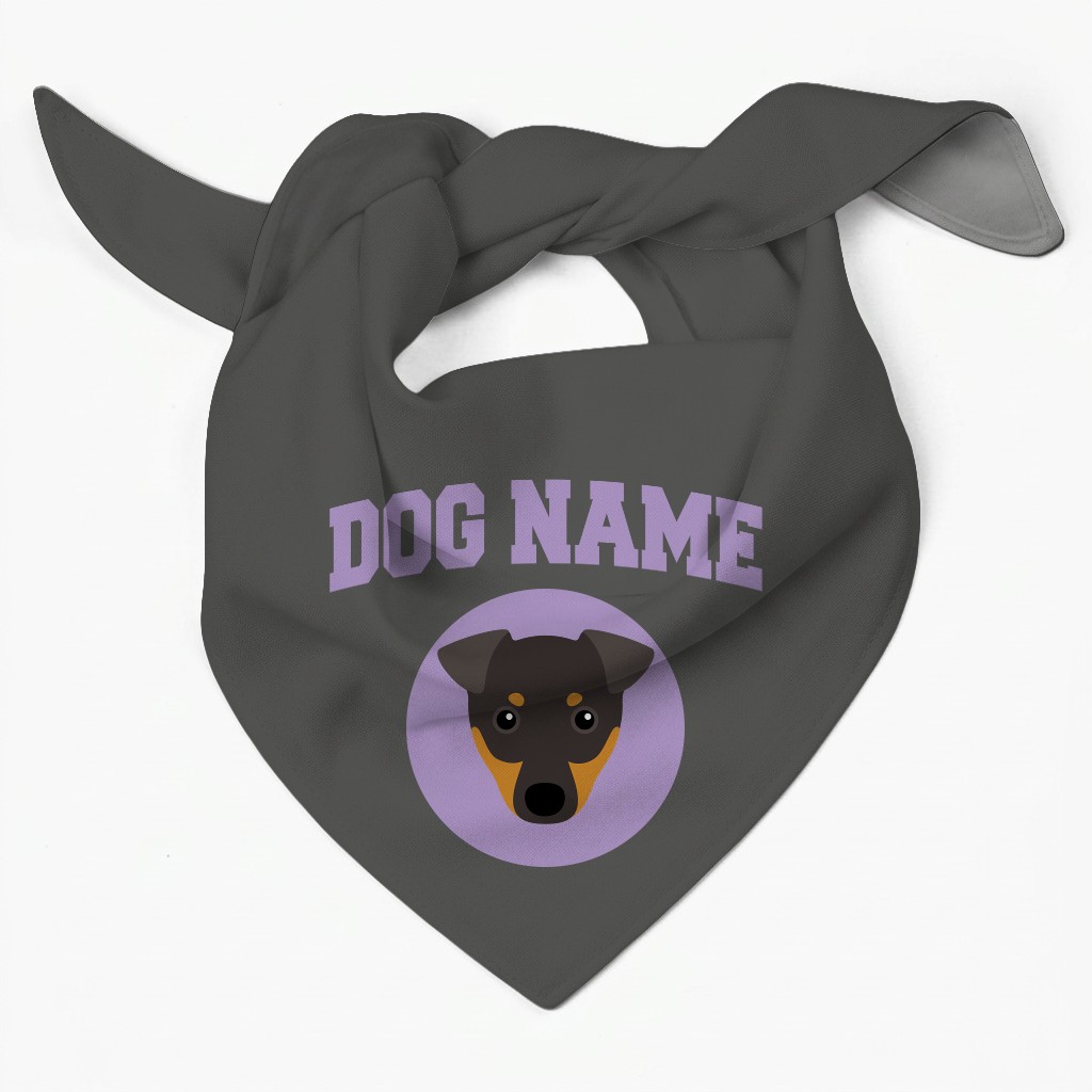 Stick Fetching Coaching Team: Personalised {breedFullName} Bandana