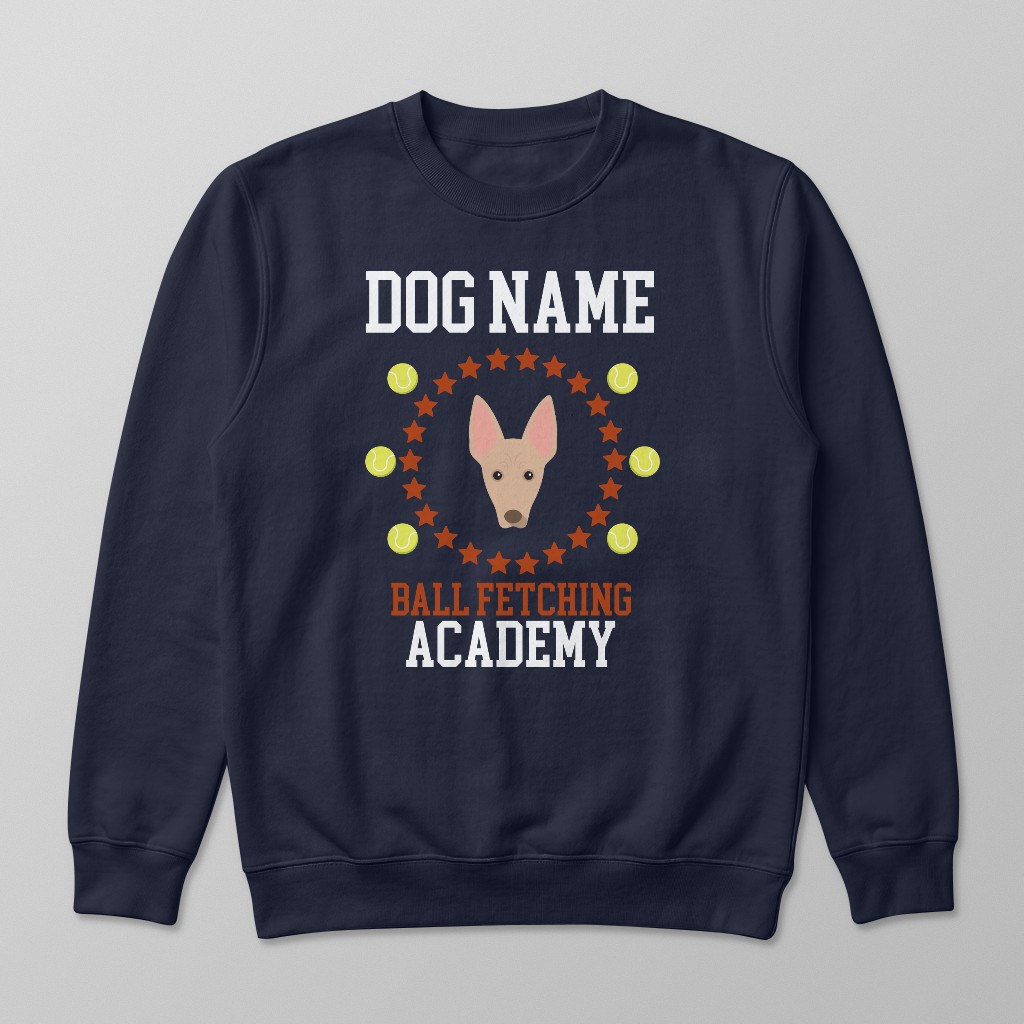 Ball Fetching Academy: Personalized {breedFullName} Sweatshirt