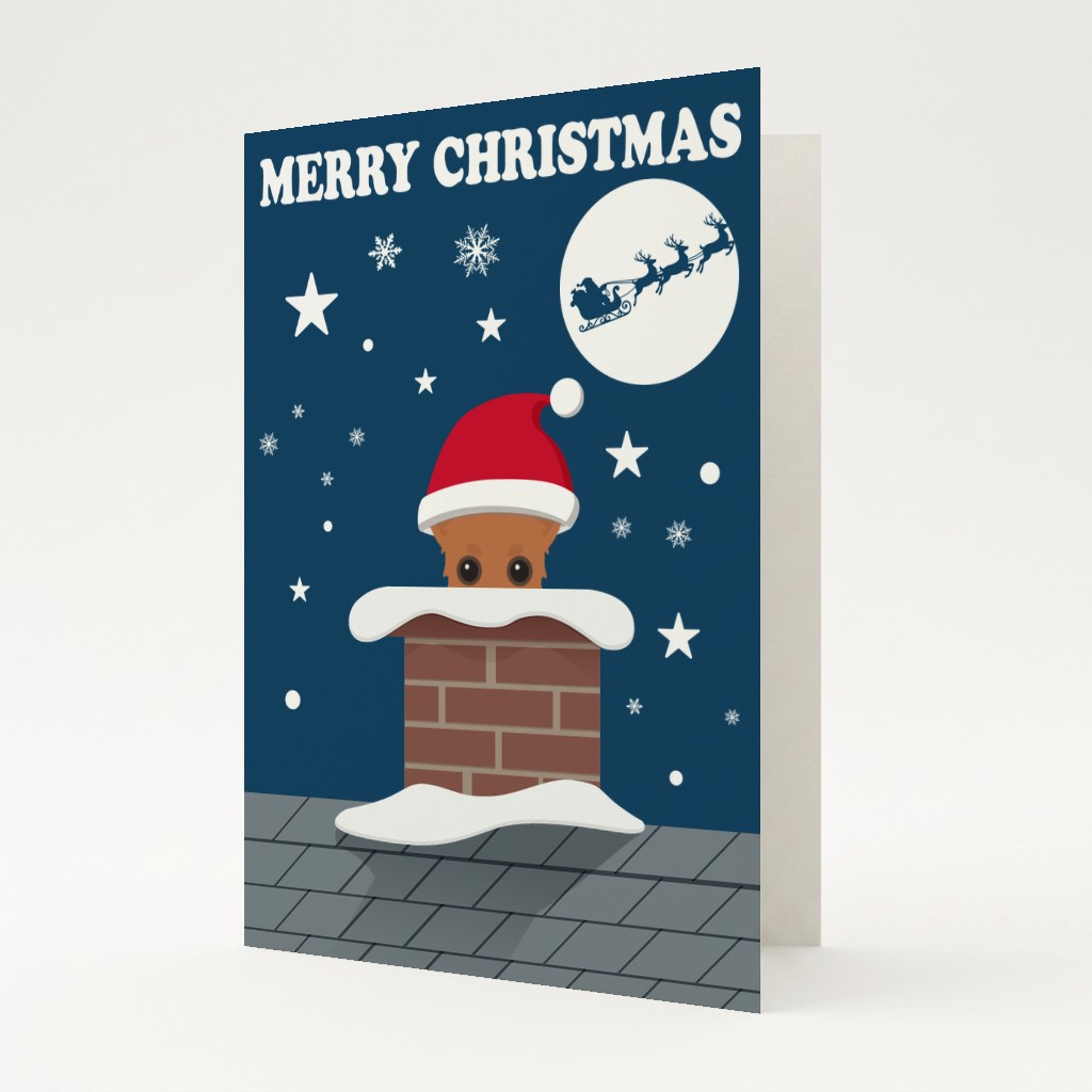 Up on the Rooftop: Personalised {breedFullName} Card