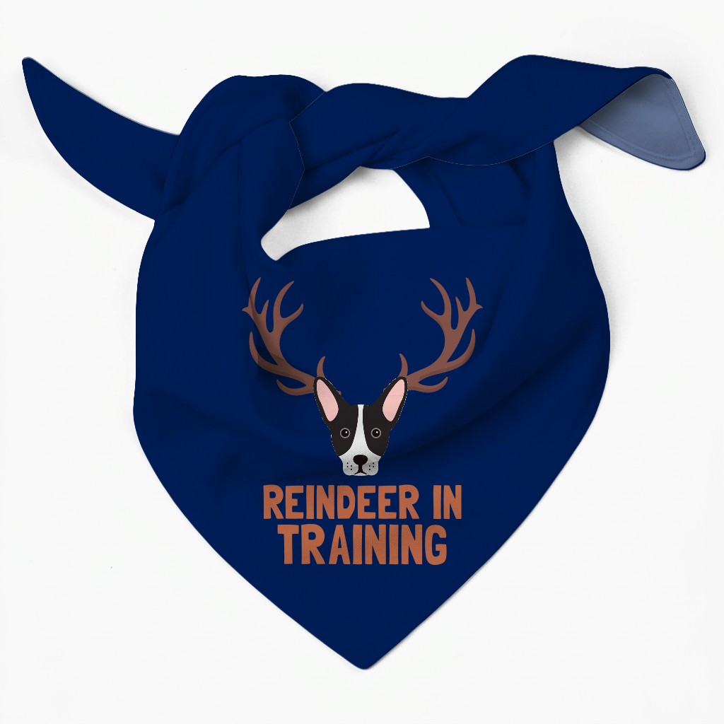 Reindeer In Training: Personalised {breedFullName} Bandana