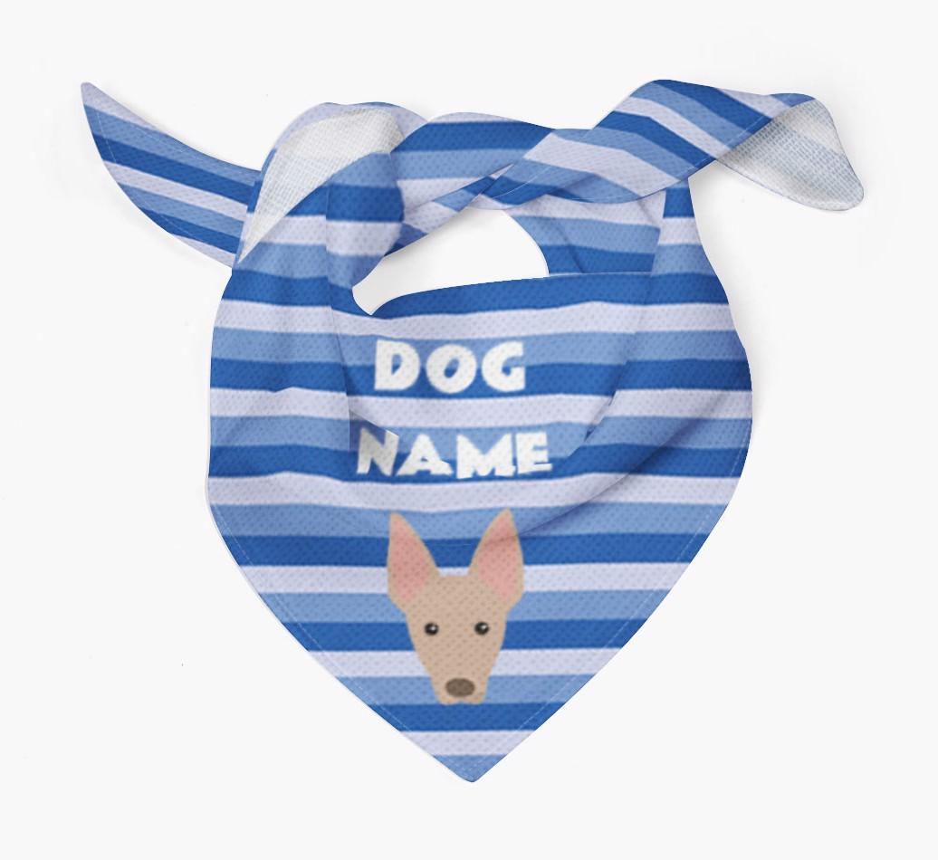 Personalized 'Stripes' Bandana for your {breedFullName}