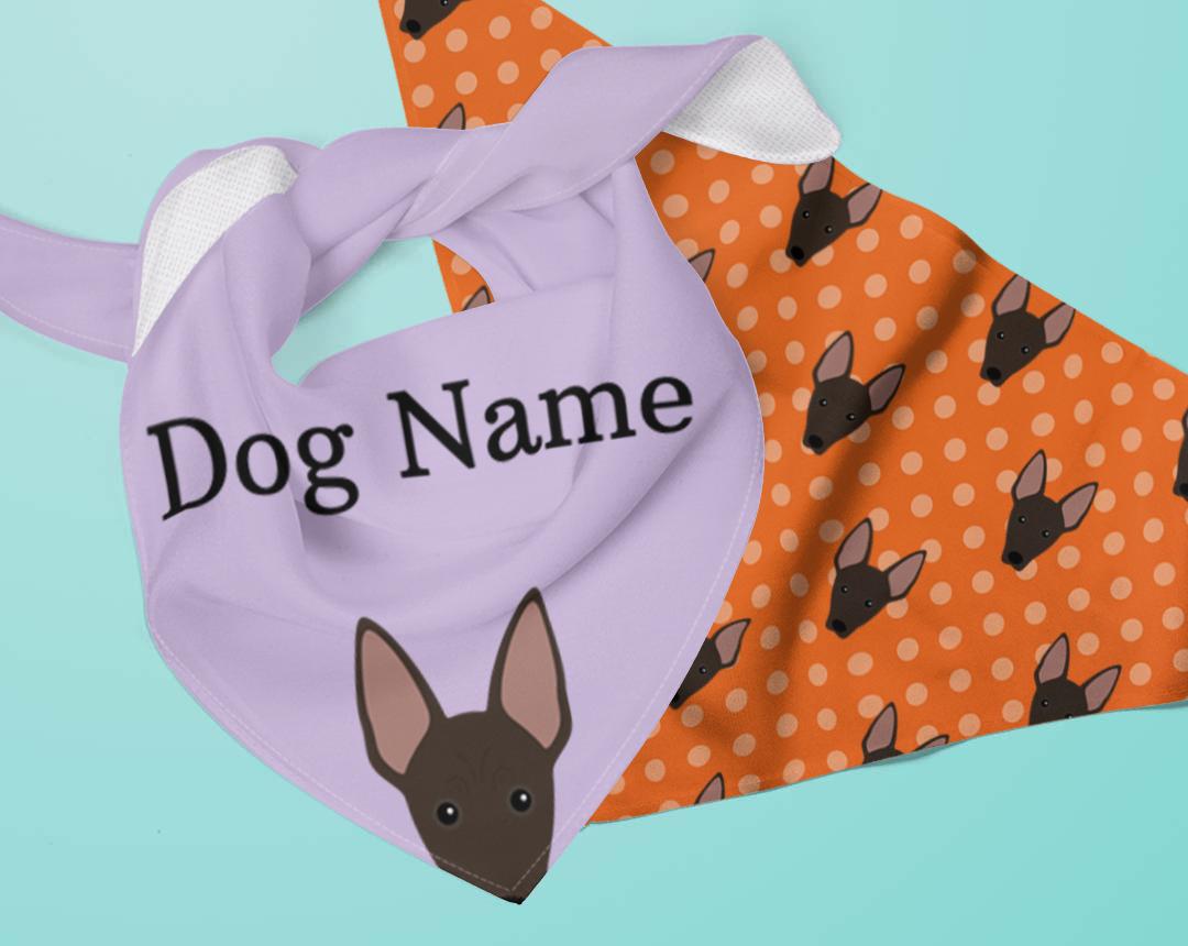 Personalized Dog Bandanas