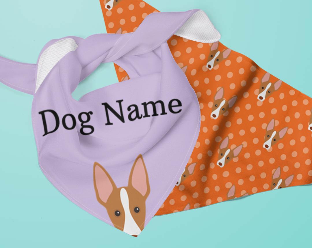 Personalized Dog Bandanas