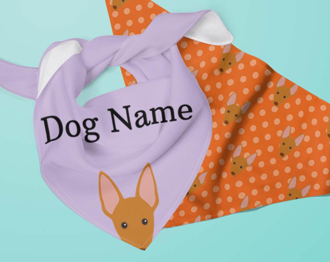 Personalized Dog Bandanas