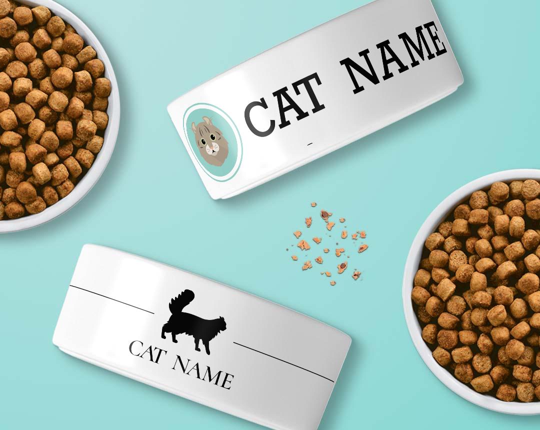 Personalized Cat Bowls