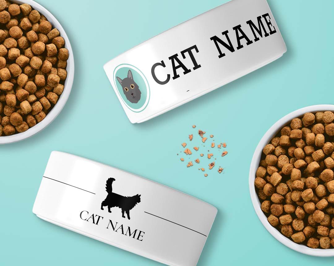 Personalized Cat Bowls
