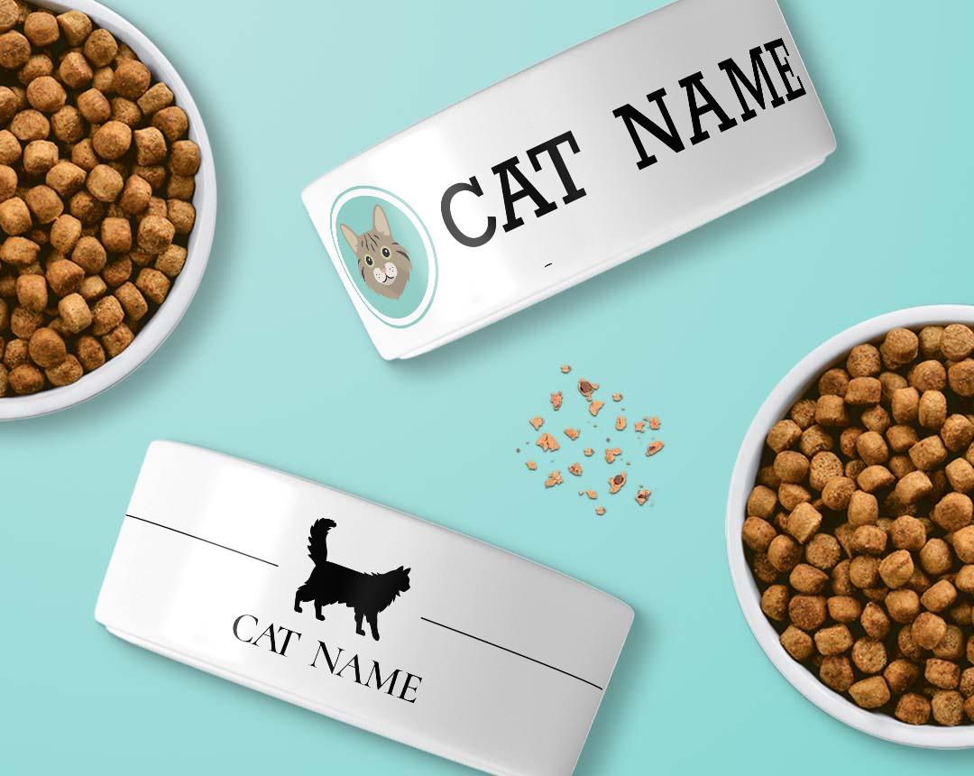 Personalized Cat Bowls