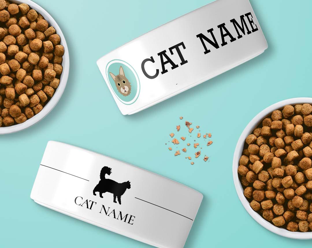Personalized Cat Bowls