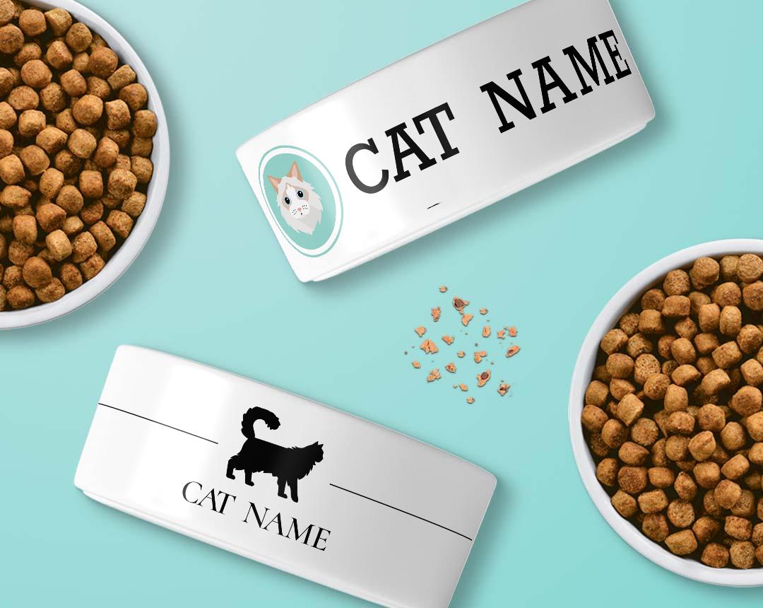 Personalized Cat Bowls