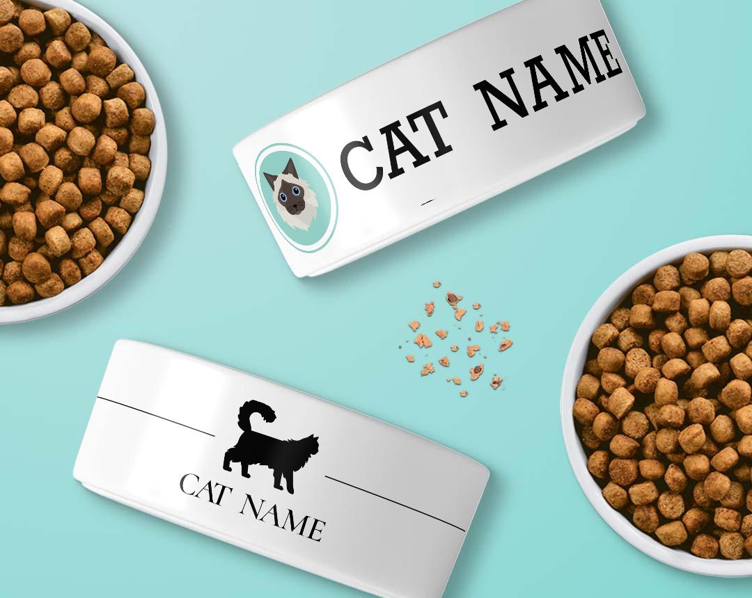 Personalized Cat Bowls