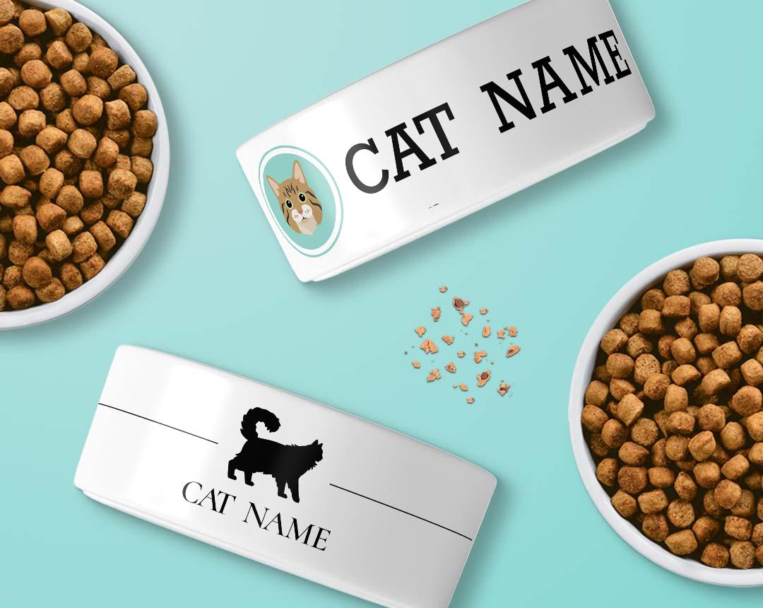 Personalized Cat Bowls