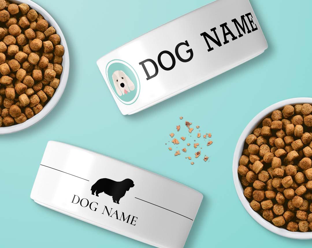 Personalized Dog Bowls