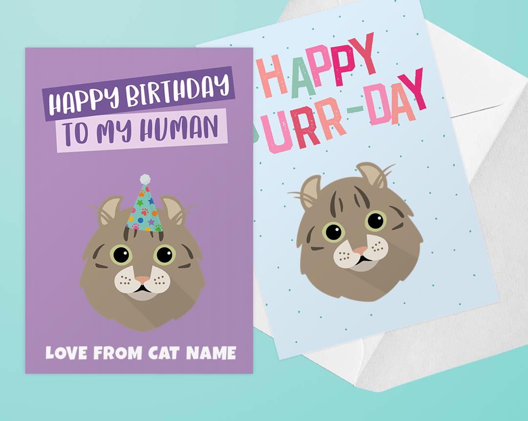 Personalized Cat Cards