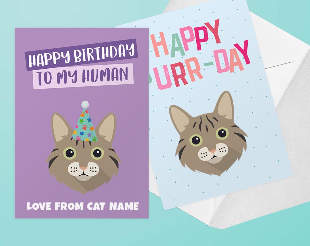 Personalized Cat Cards