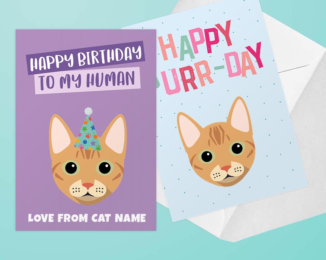 Personalized Cat Cards