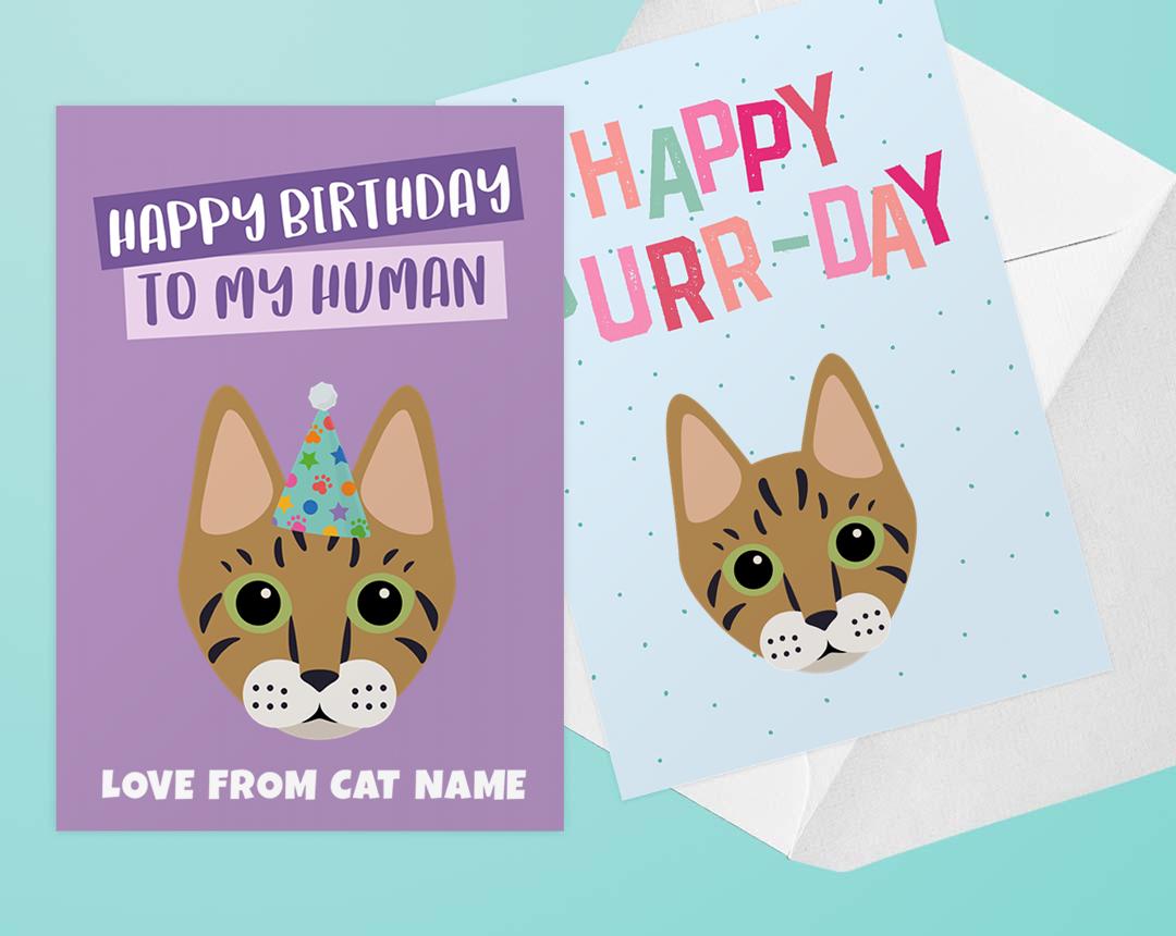 Personalized Cat Cards