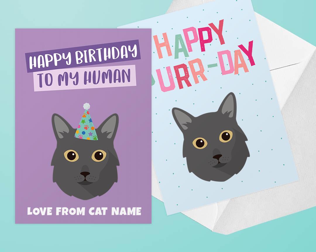 Personalized Cat Cards