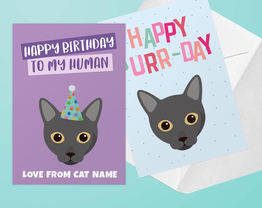 Personalized Cat Cards