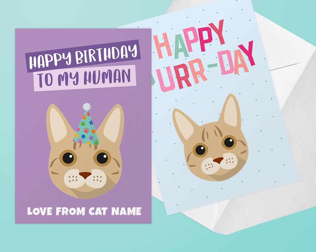 Personalized Cat Cards