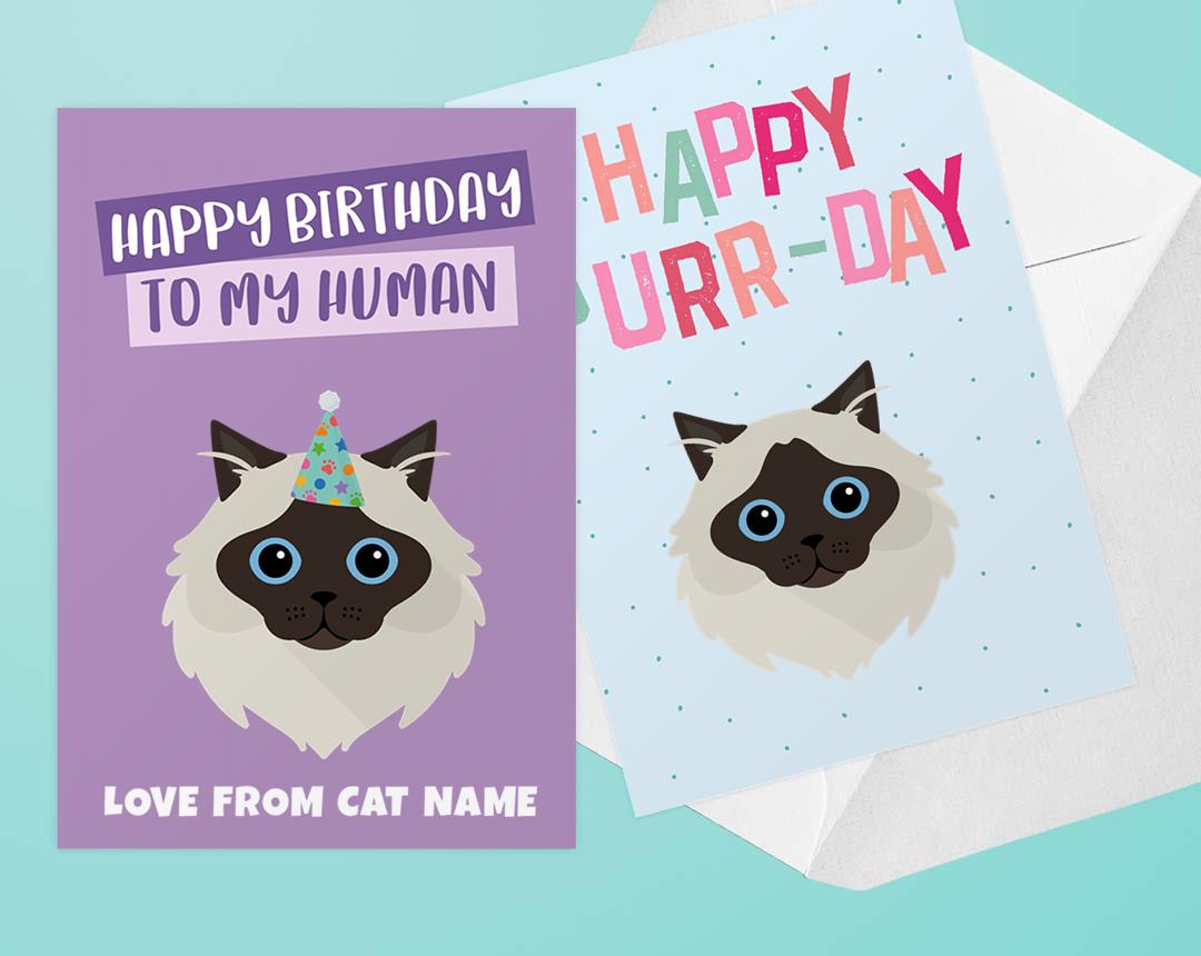 Personalized Cat Cards