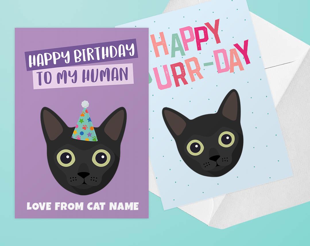 Personalized Cat Cards