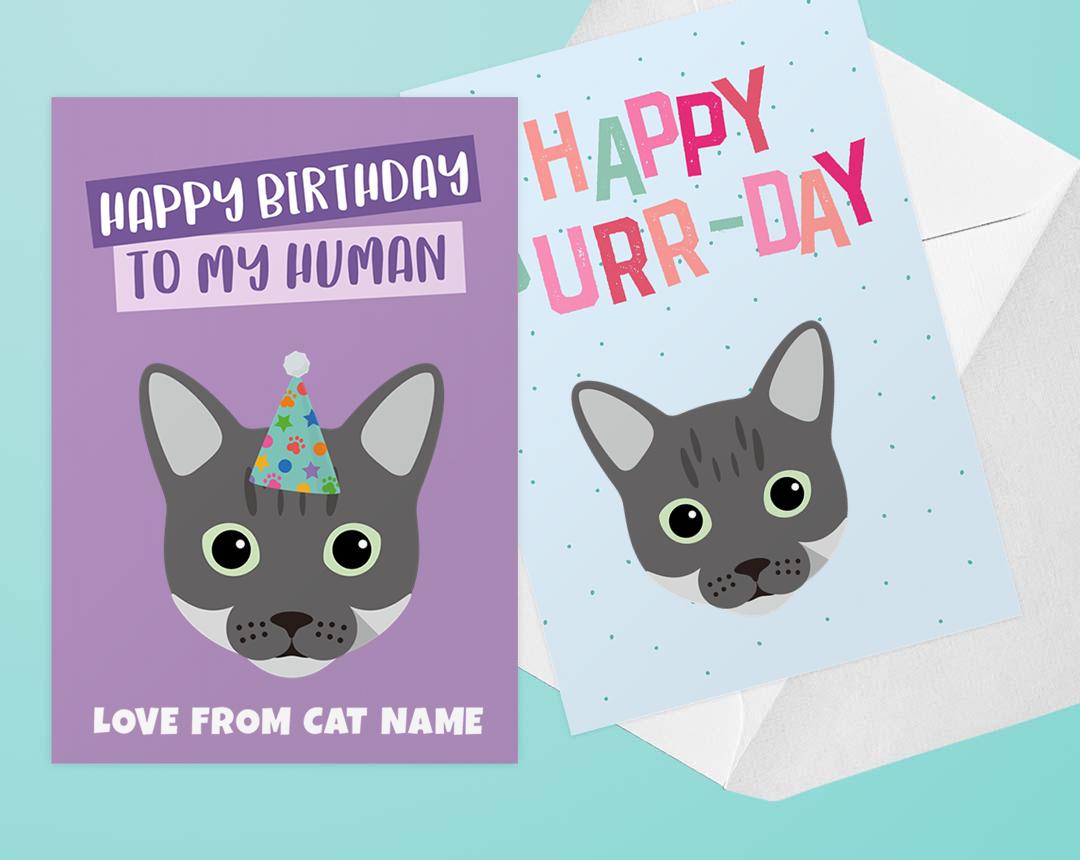 Personalized Cat Cards