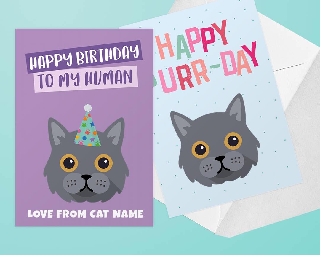 Personalized Cat Cards