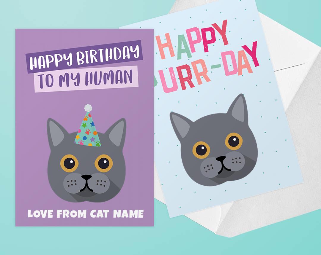 Personalized Cat Cards