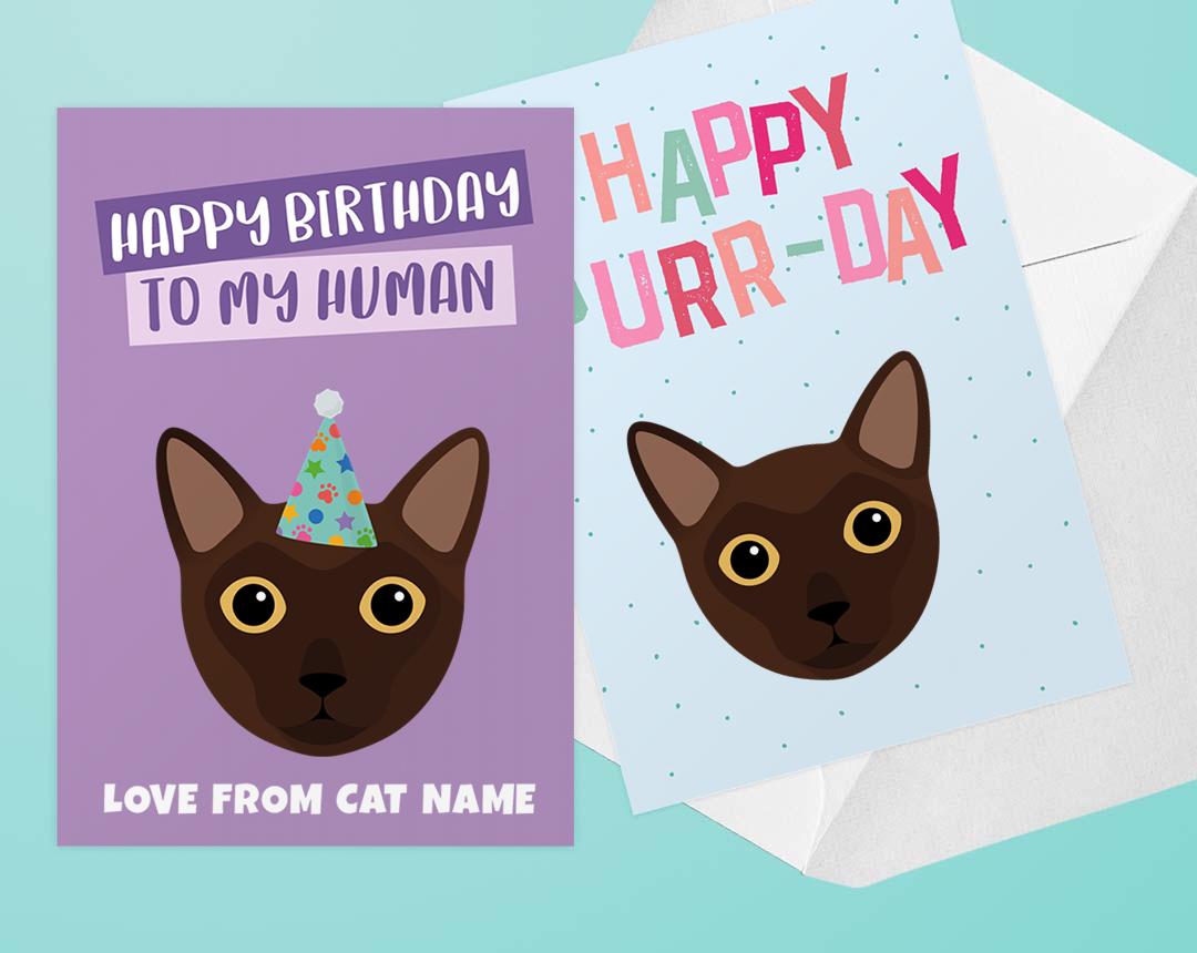 Personalized Cat Cards