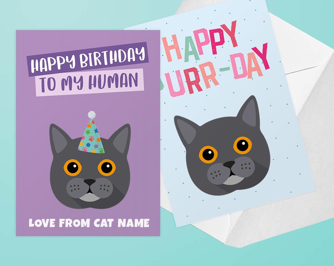 Personalized Cat Cards