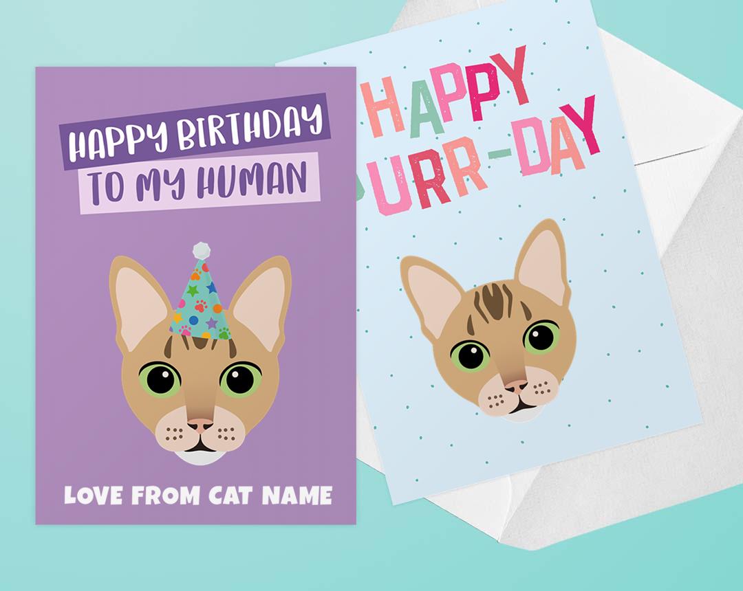 Personalized Cat Cards
