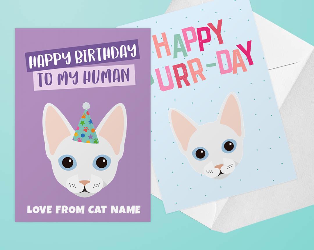 Personalized Cat Cards