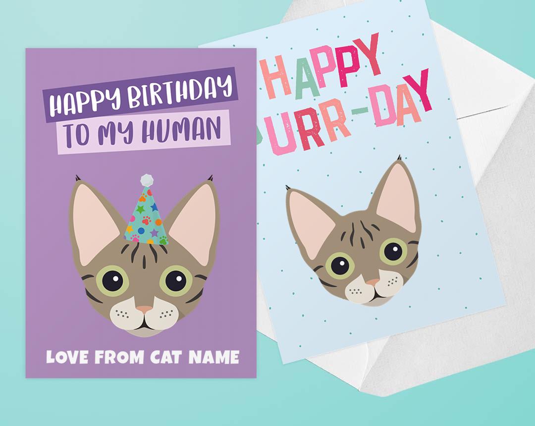 Personalized Cat Cards