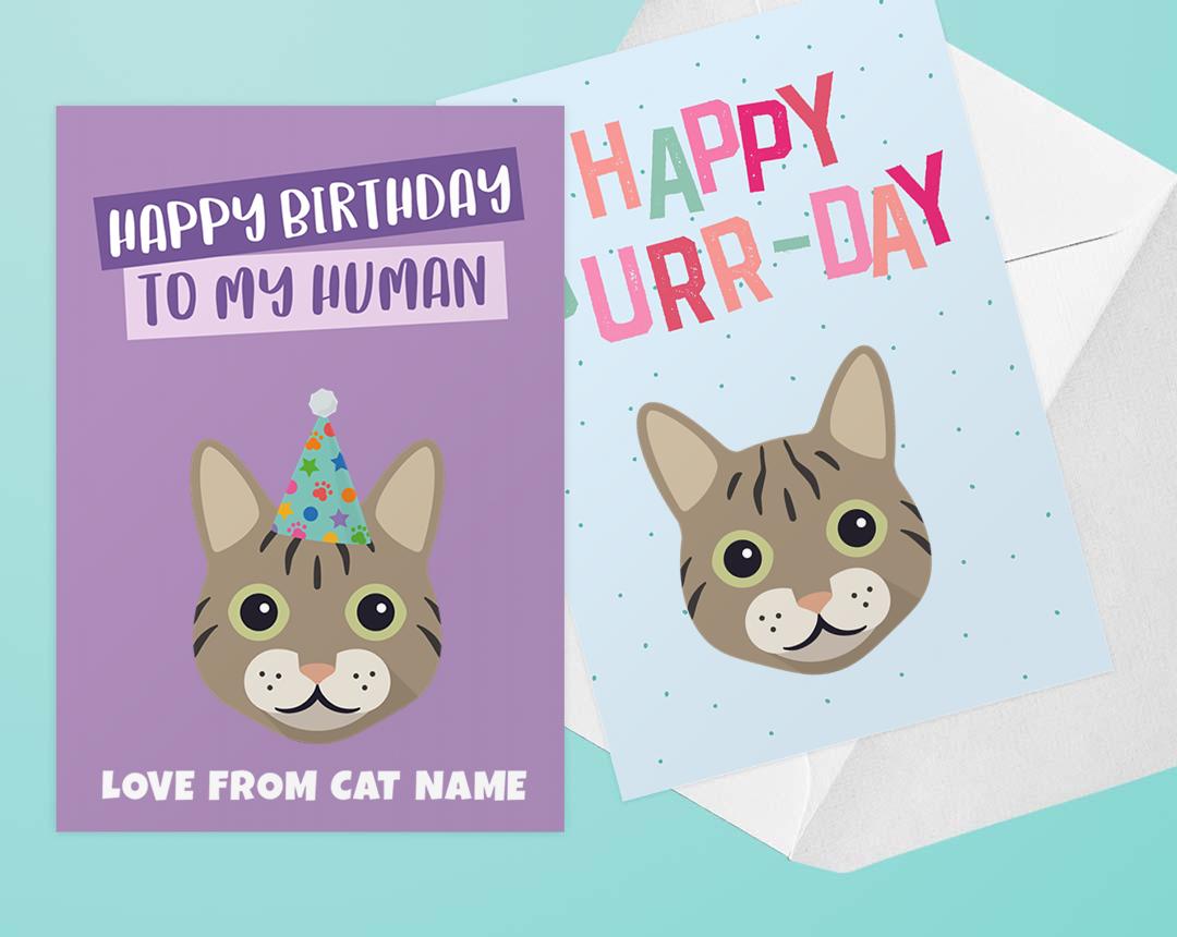 Personalized Cat Cards