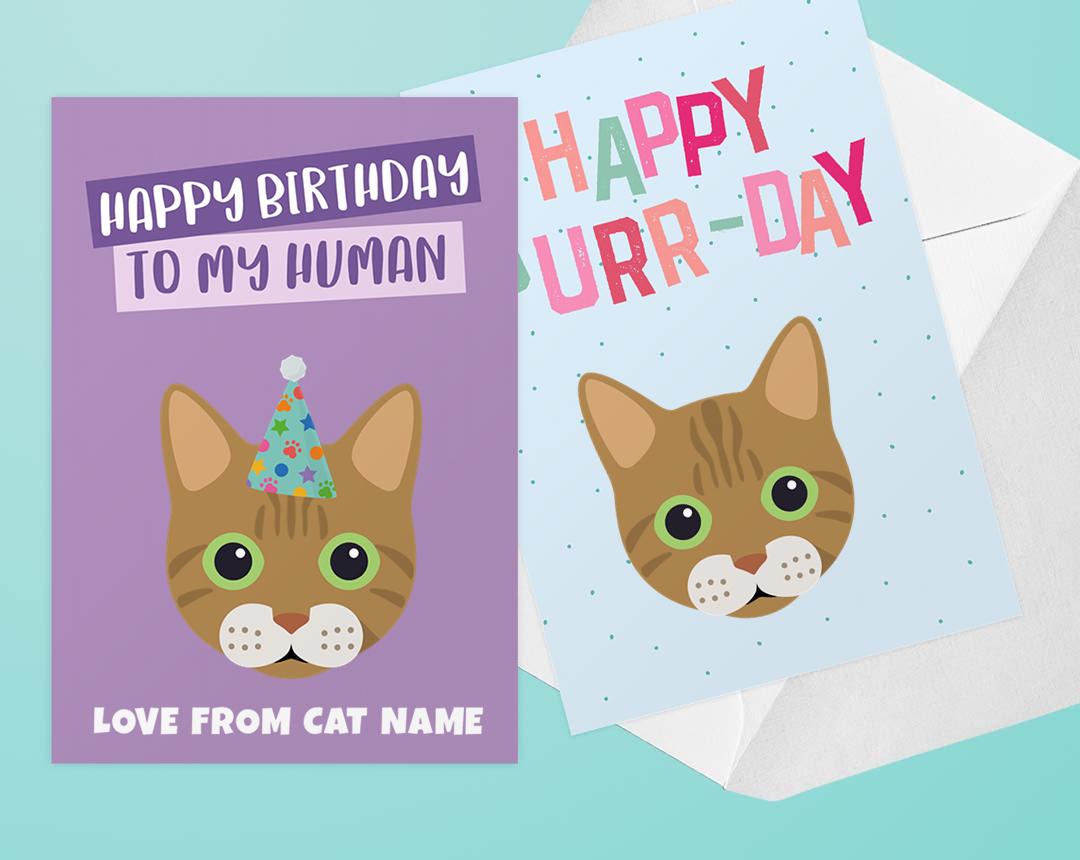 Personalized Cat Cards