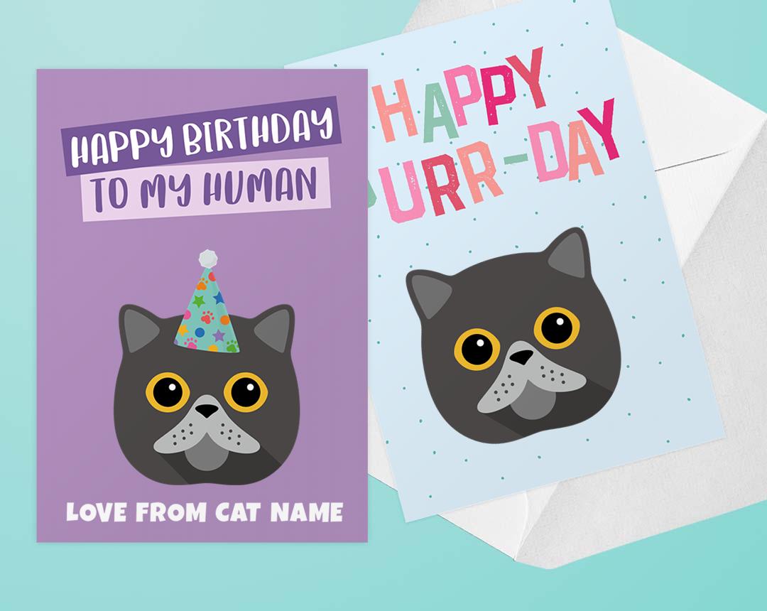 Personalized Cat Cards