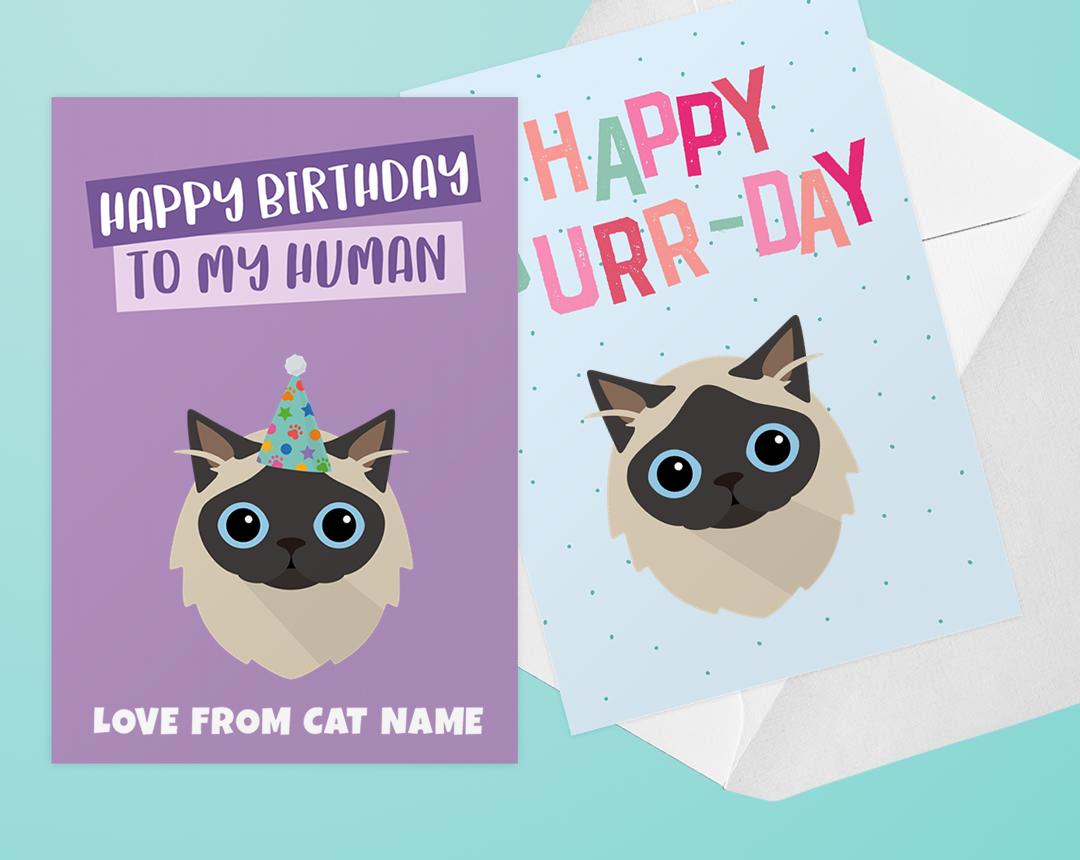 Personalized Cat Cards