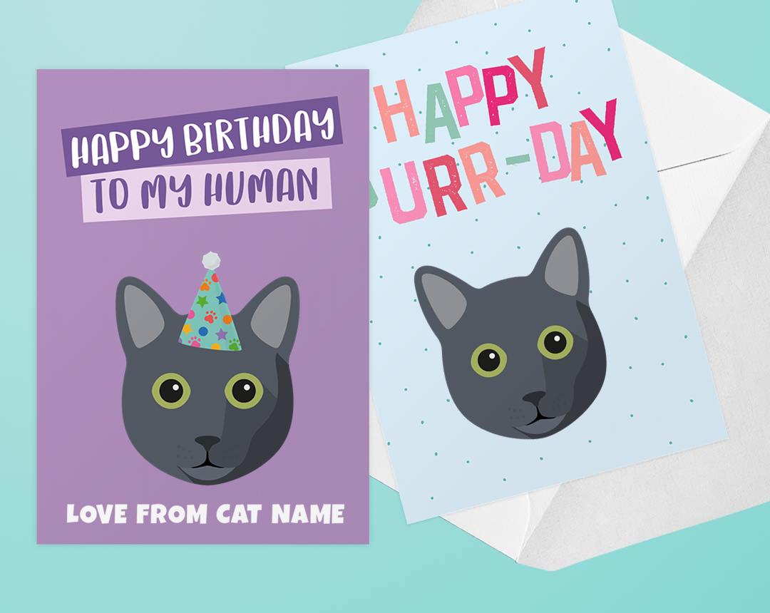 Personalized Cat Cards