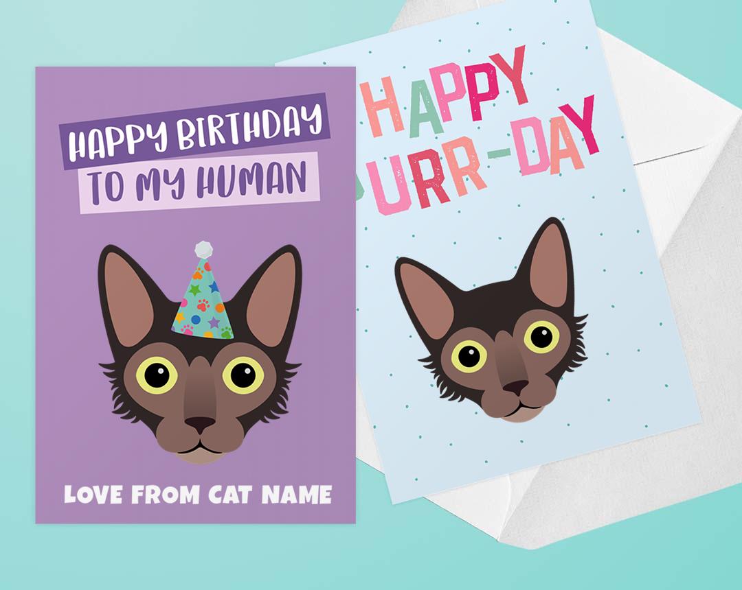 Personalized Cat Cards