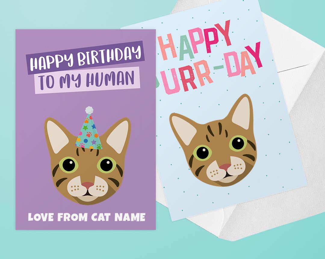 Personalized Cat Cards