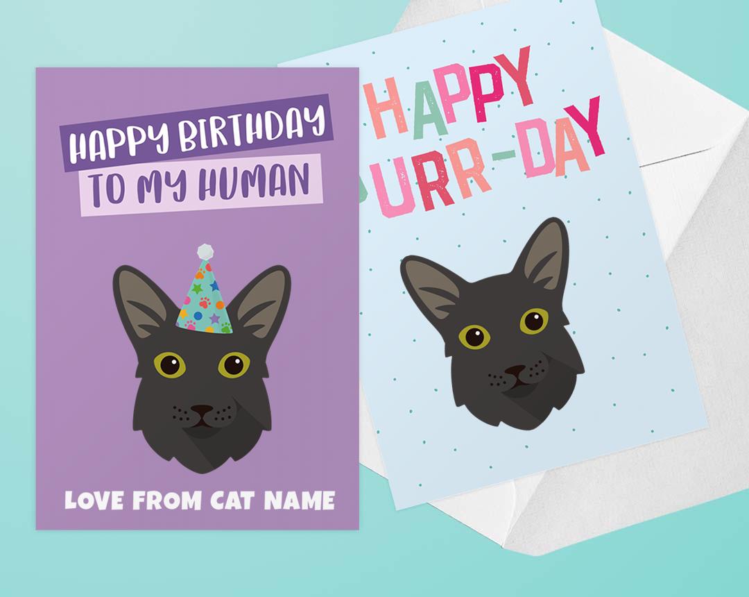 Personalized Cat Cards