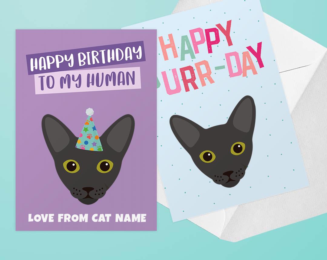 Personalized Cat Cards