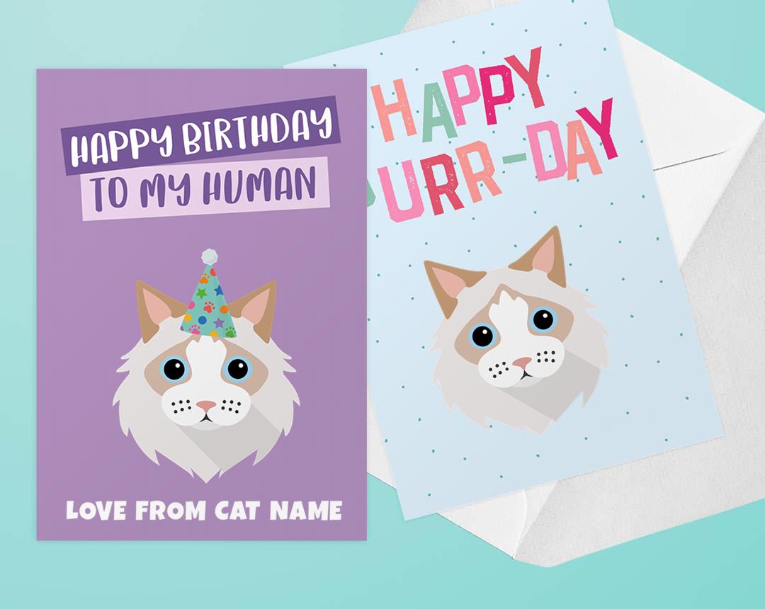 Personalized Cat Cards