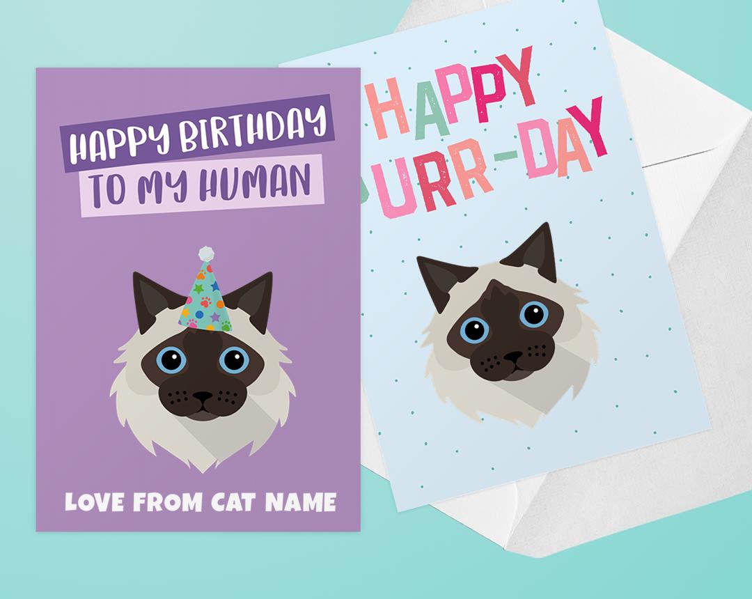 Personalized Cat Cards
