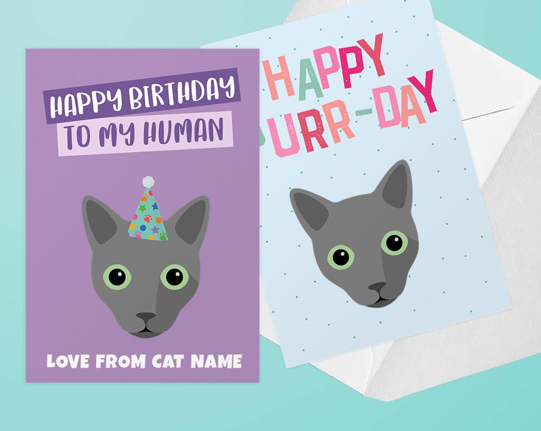 Personalized Cat Cards