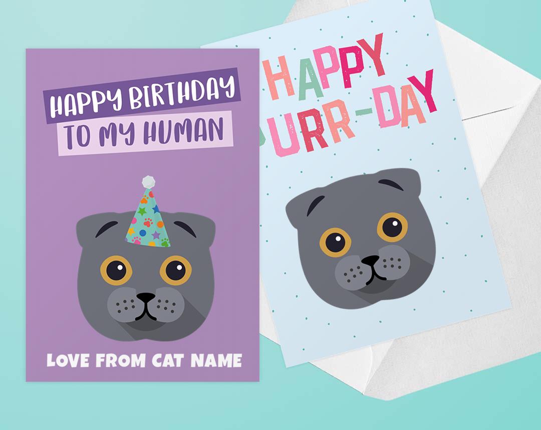 Personalized Cat Cards