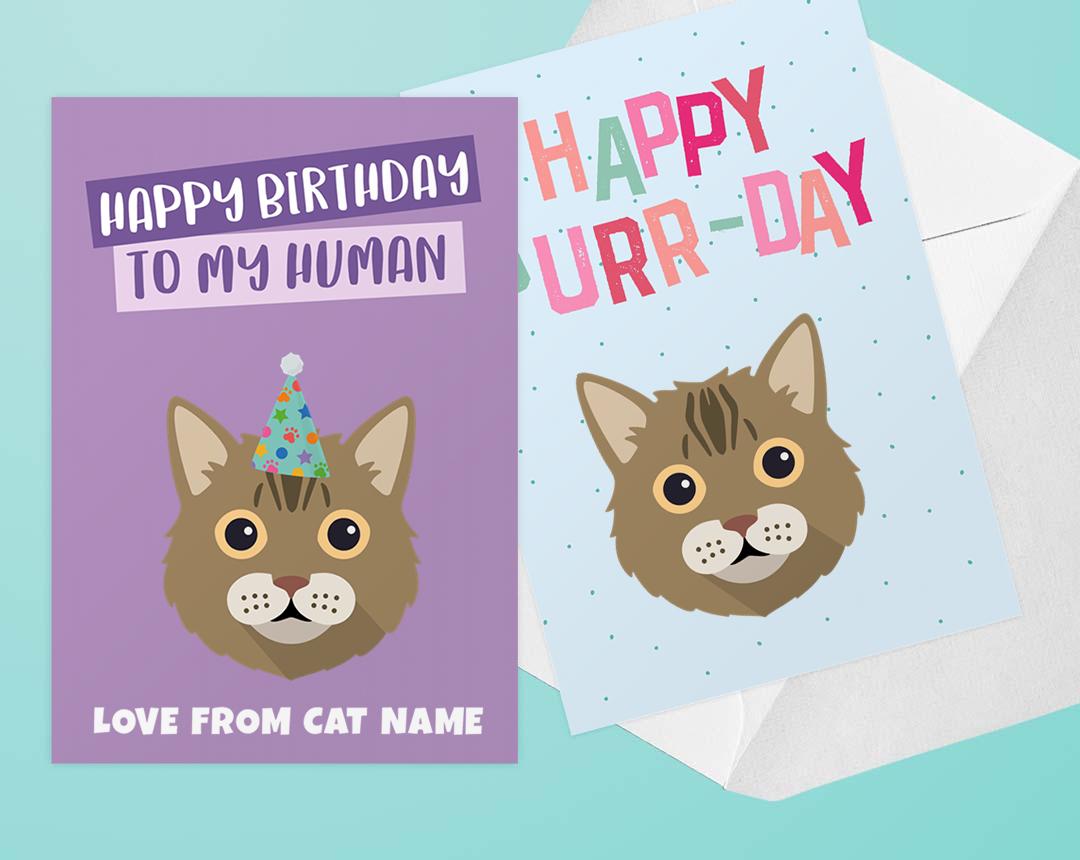 Personalized Cat Cards