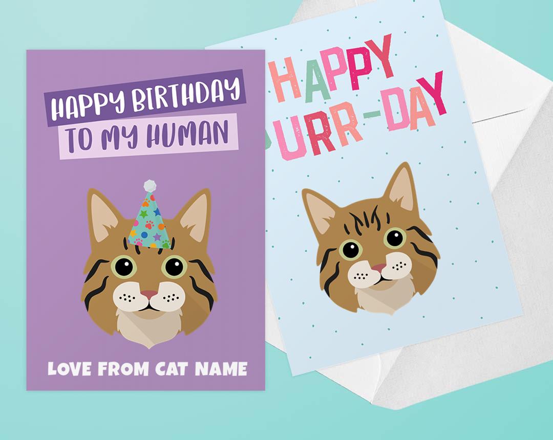 Personalized Cat Cards