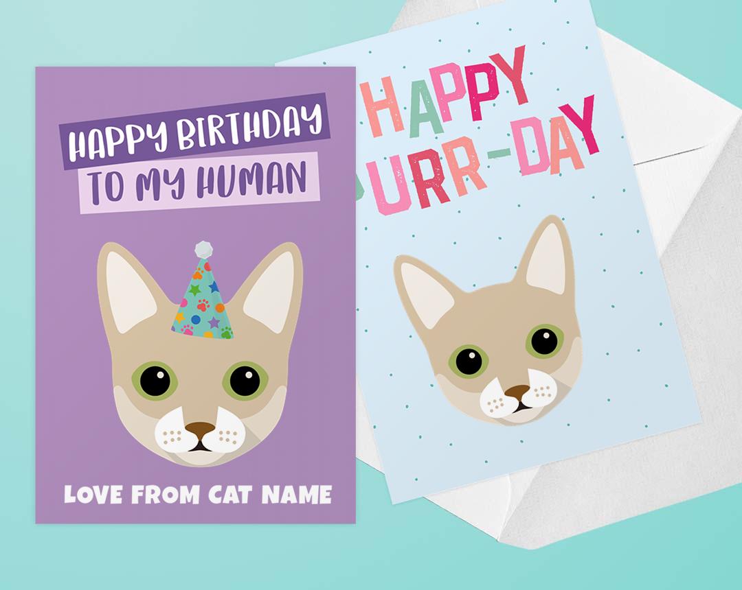 Personalized Cat Cards