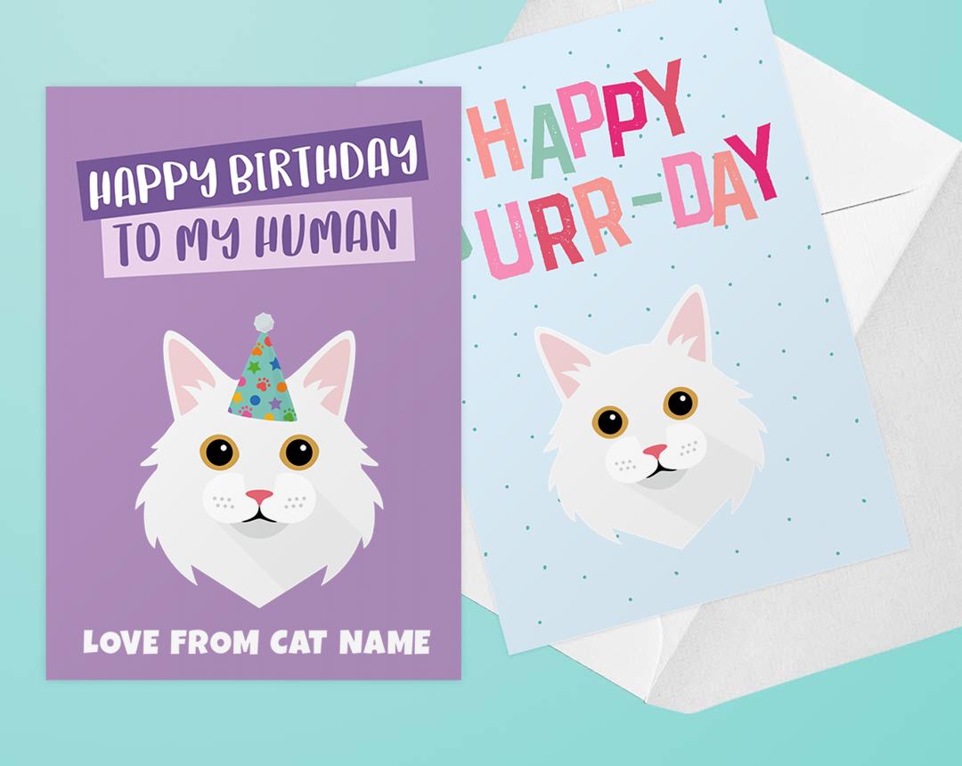 Personalized Cat Cards